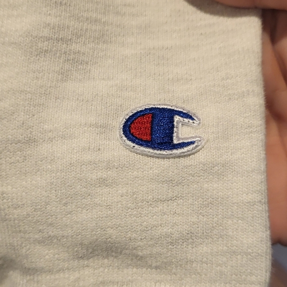 Vintage Champion Princeton Reverse Weave Hoodie Gray Size Medium - Picture 4 of 6